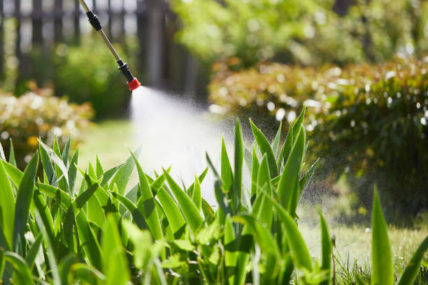 24/7 Emergency Ant Control experts in Rhome, TX