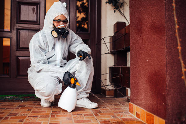 Reliable Ant Control contractor in Rhome, TX by Nex Pest Control