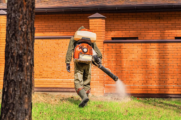 Trusted Termite Control service in Rhome, TX - Nex Pest Control